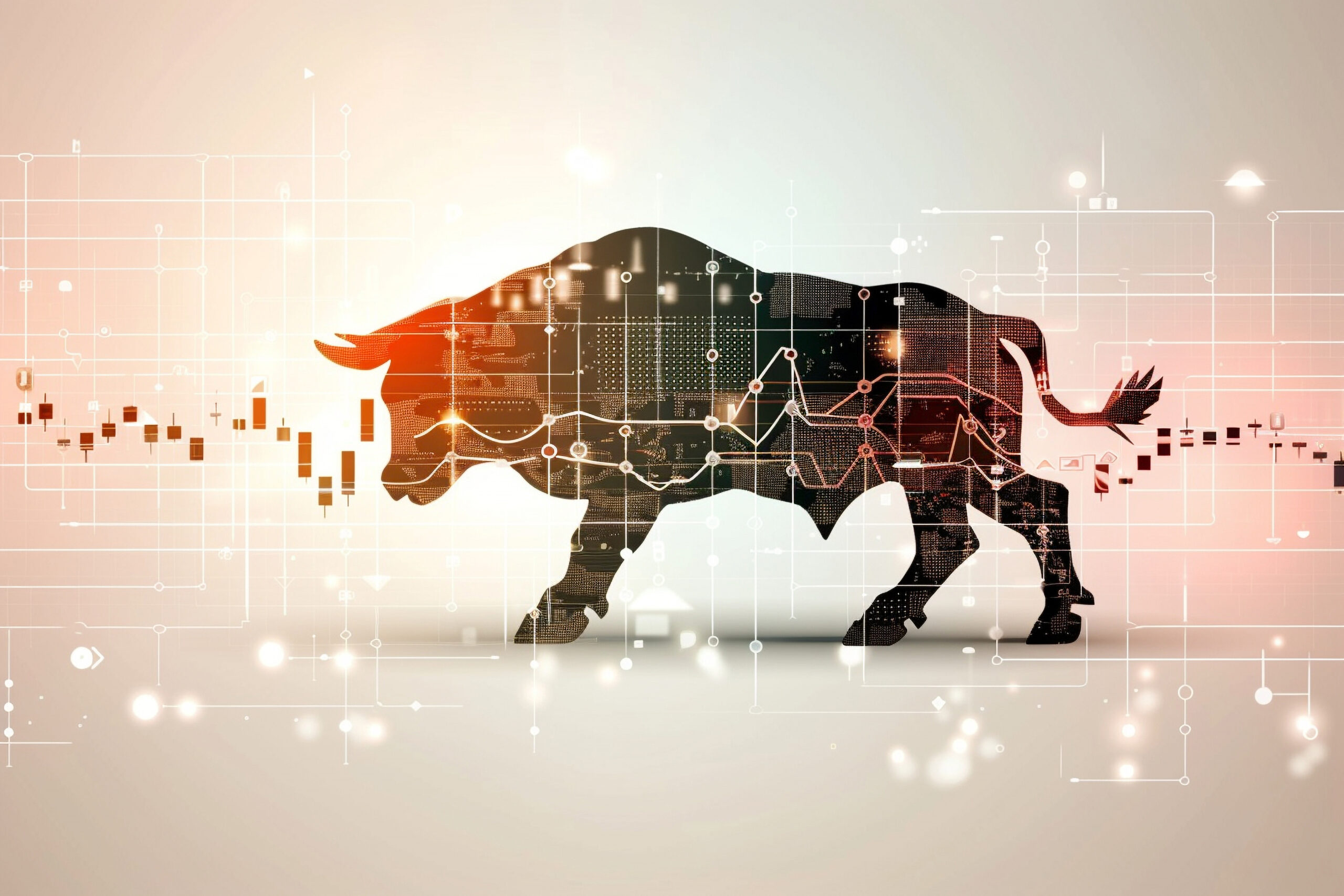 Stock Market