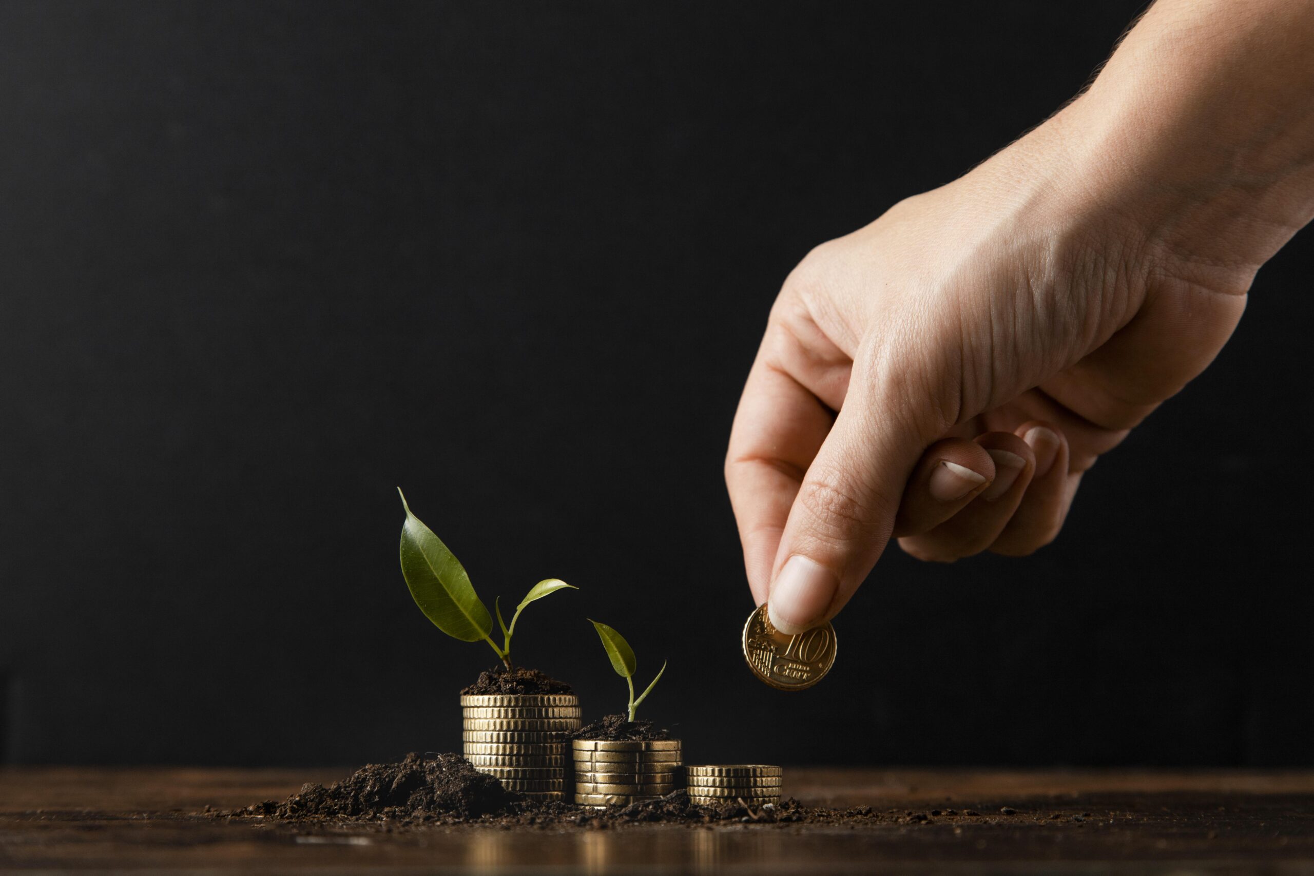 Mutual Fund Investment